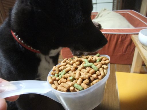 ファイル 812-3.jpg