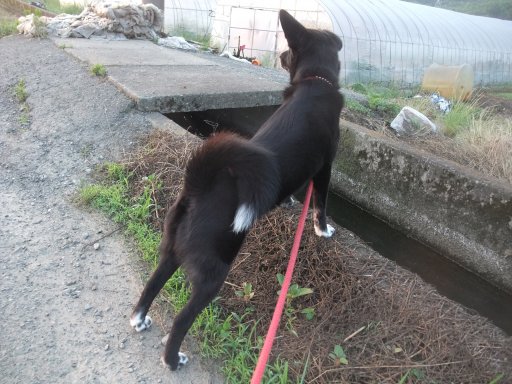明日から梅雨モード