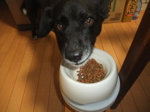 ファイル 819-2.jpg