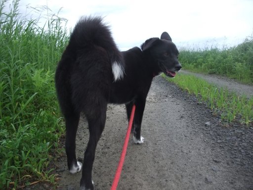 ひとやすみ．．．？