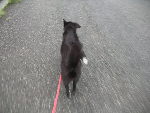 13日の金曜・仏滅・盆の迎え火