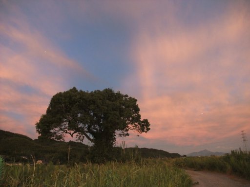 ファイル 861-3.jpg