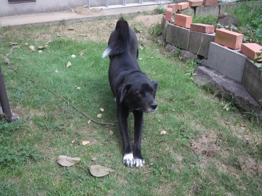 ファイル 863-2.jpg