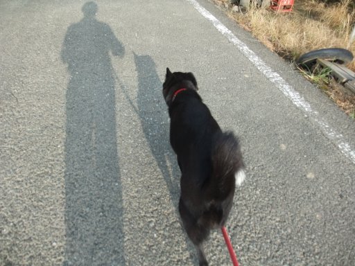 ファイル 869-2.jpg