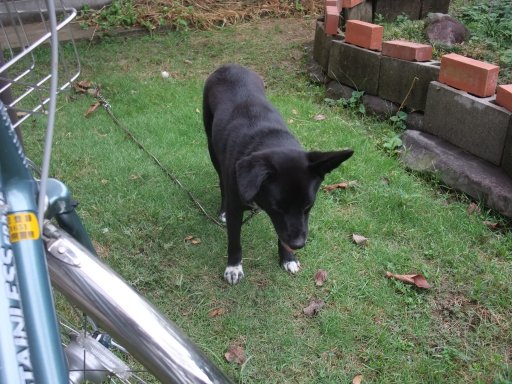 ファイル 871-2.jpg