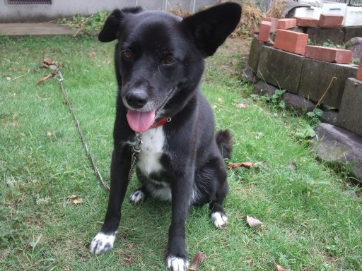 ファイル 871-3.jpg