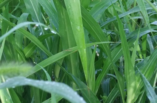 ファイル 872-2.jpg