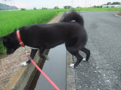 ファイル 875-3.jpg