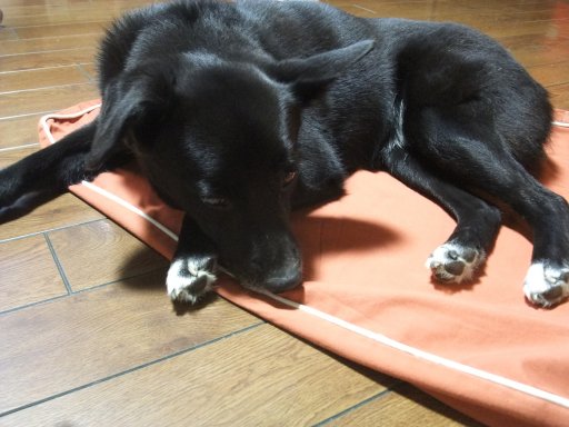 ファイル 876-2.jpg