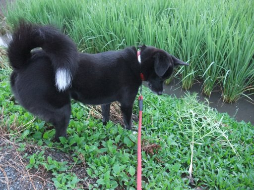 エっちゃん月イヴ姫月