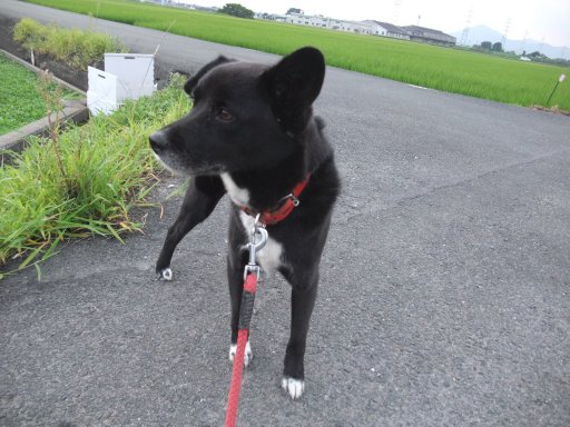 ファイル 888-3.jpg