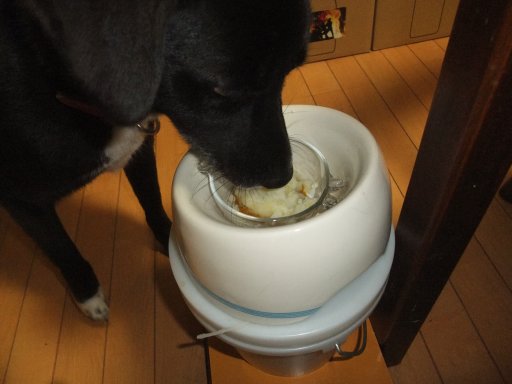 ファイル 896-3.jpg