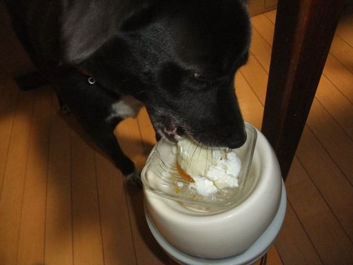 ファイル 897-2.jpg