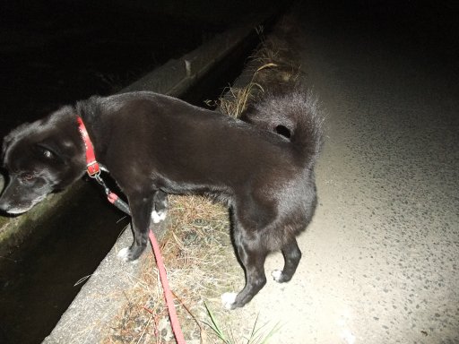 ファイル 899-2.jpg