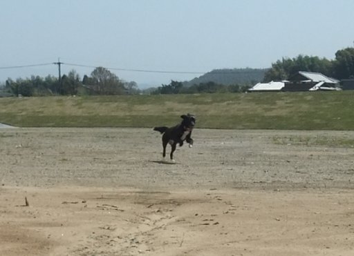 ファイル 90-2.jpg