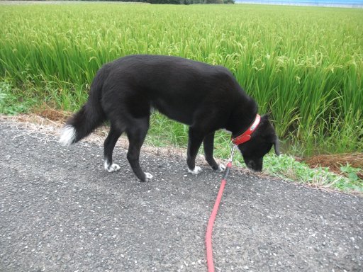 ファイル 902-2.jpg