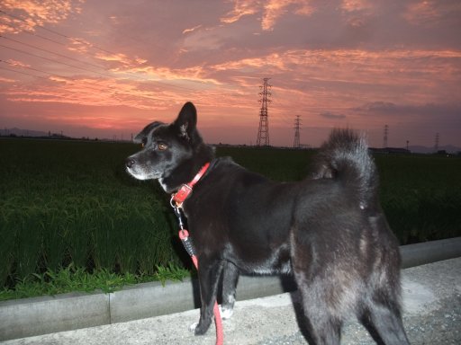 暑さ寒さも彼岸の入り