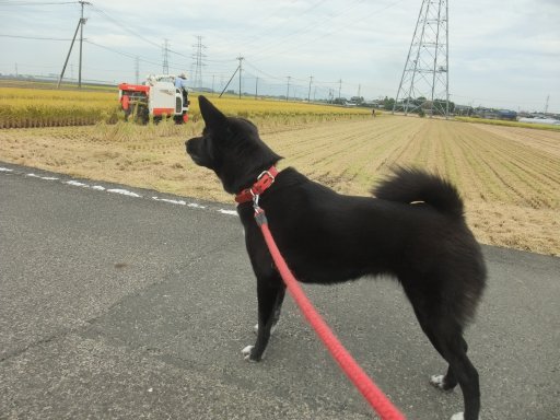 ファイル 929-3.jpg