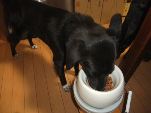 ファイル 930-2.jpg