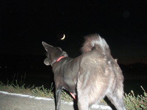 姫のウォーキング