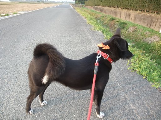 ファイル 947-3.jpg