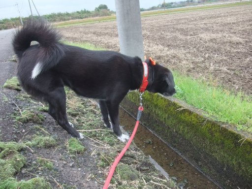 ファイル 949-2.jpg