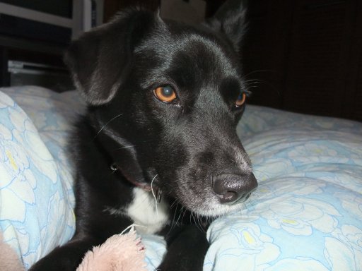 ファイル 96-2.jpg