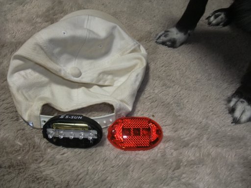 テールライト破損