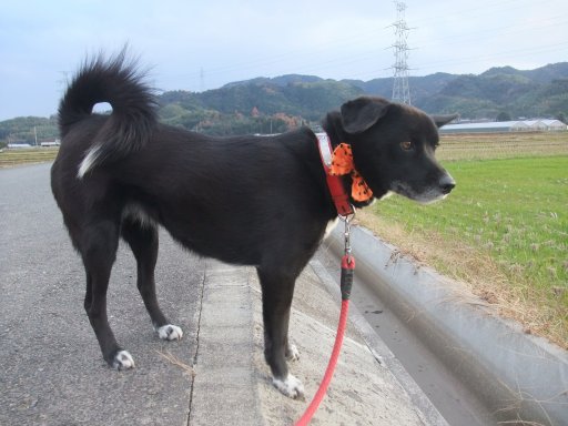 ファイル 967-2.jpg