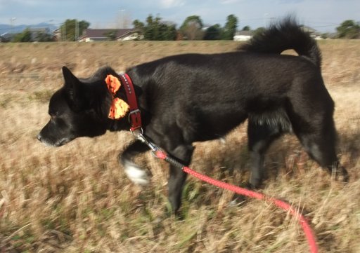 北風ぴーぷー  Oh！寒い