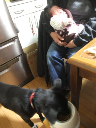 姫と姫とバァ～バ