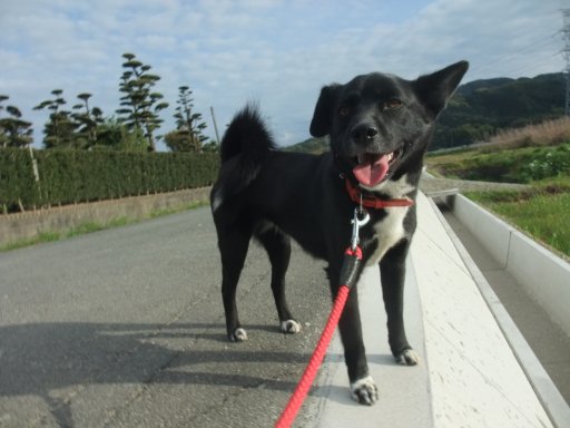 ファイル 97-2.jpg