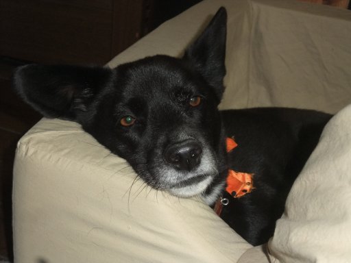 ファイル 971-2.jpg