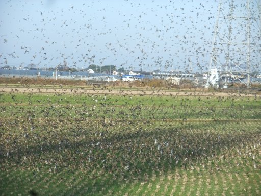 ファイル 972-2.jpg