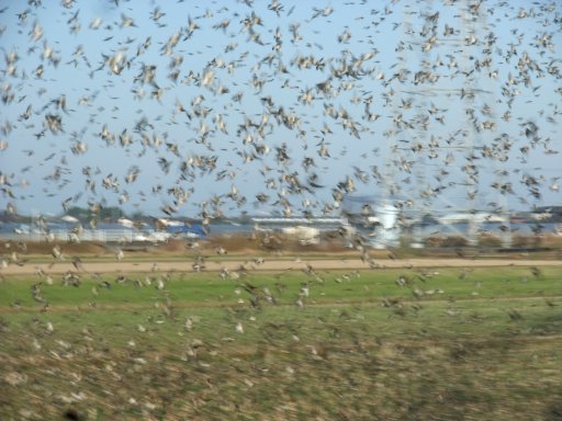 ファイル 972-3.jpg