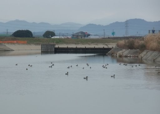 ファイル 983-2.jpg