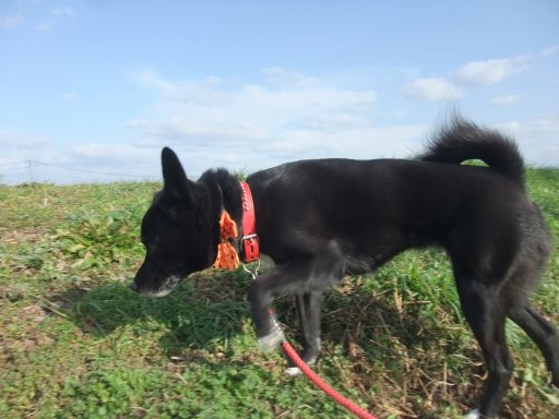 ファイル 985-2.jpg