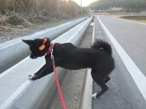 姫の法則（寒いのは苦手？）