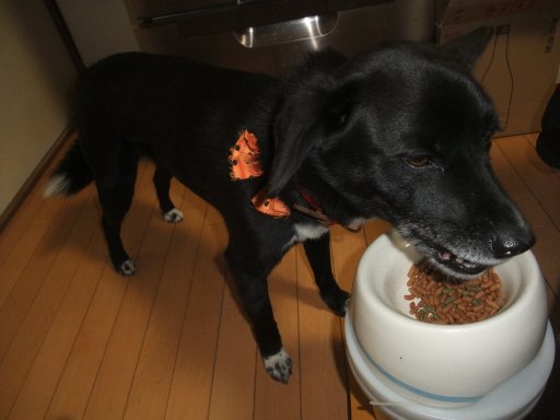 デザートにビタミンＣ