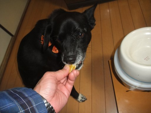 ファイル 989-2.jpg