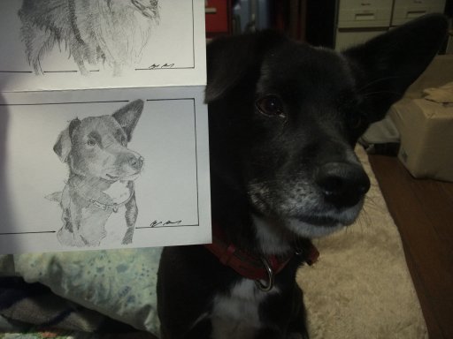 似てるでしゅか