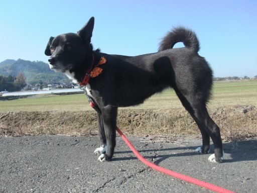 冬日和で はいポーズ