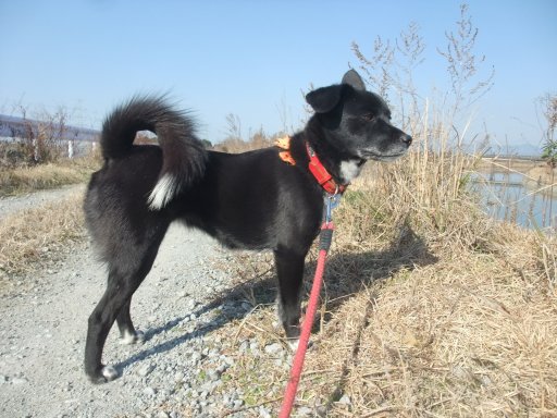 ファイル 992-3.jpg