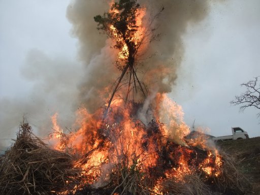 ファイル 993-3.jpg