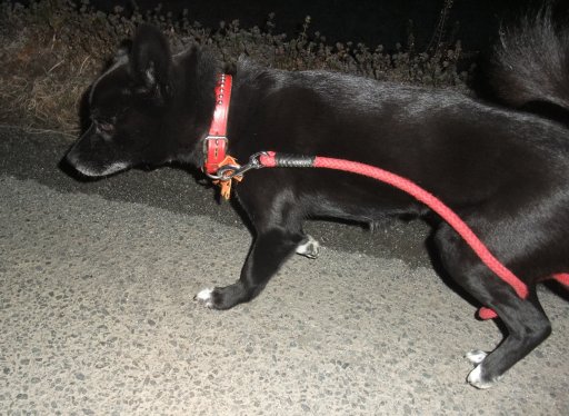 ファイル 995-2.jpg