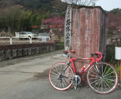 谷尾崎　梅林公園
