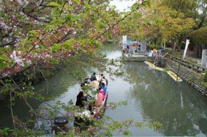 桜と川下り