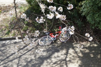 お昼寝中の自転車