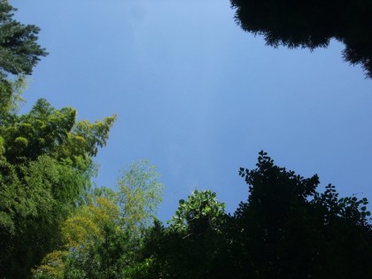 市民の森広場から見上げる青空